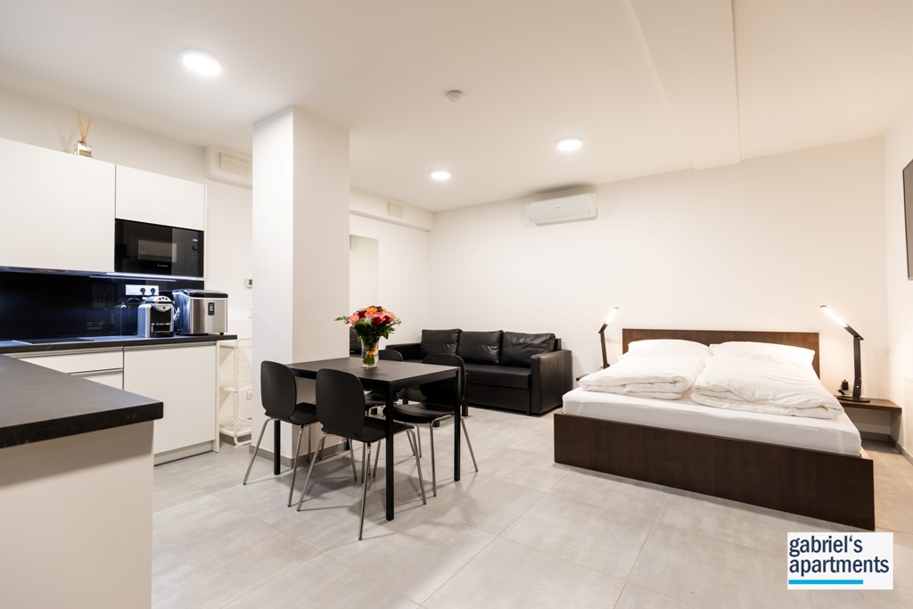 Read more about the article Studio Apartment